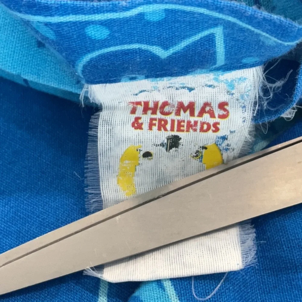 Thomas the Train curtains 2 panels.